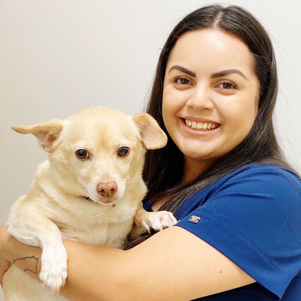 Norel Gonzales, Licensed Veterinary Technician, Animal Hospital of Maple Valley, Maple Valley WA