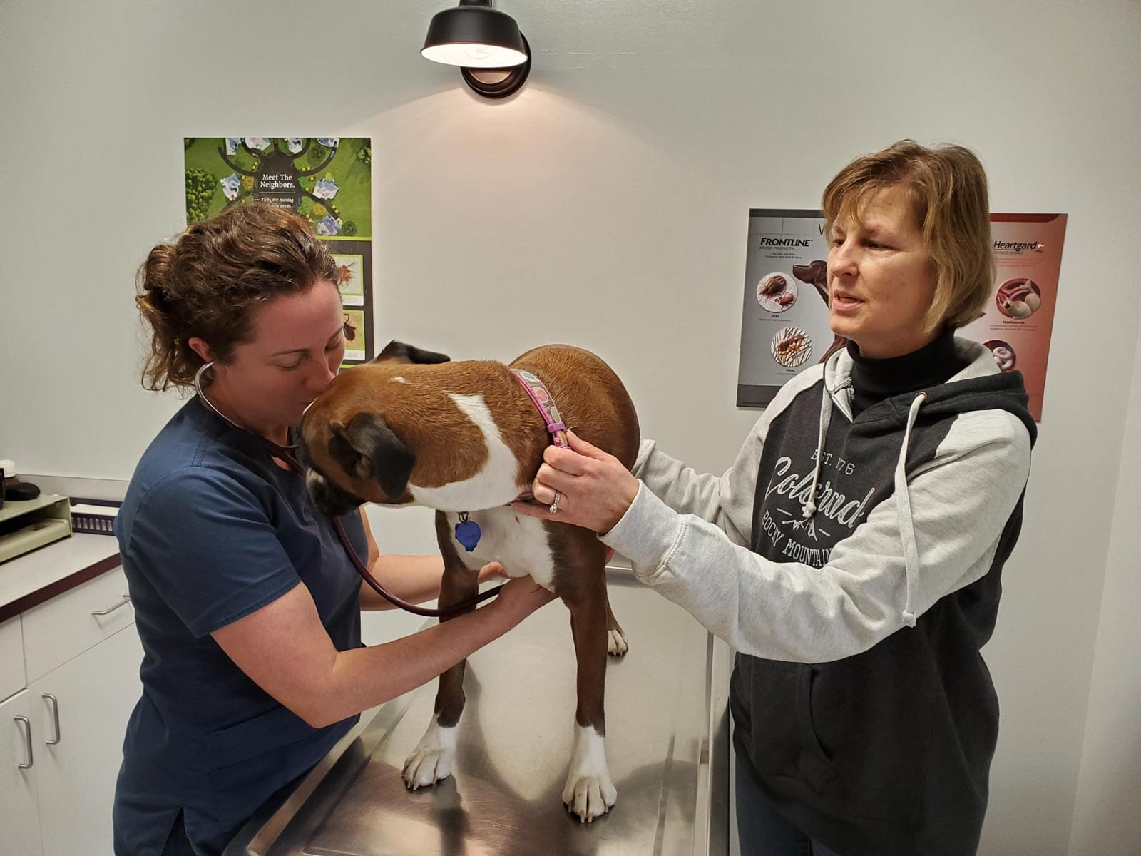 Dog kissing the vet at Animal Hospital of Maple Valley