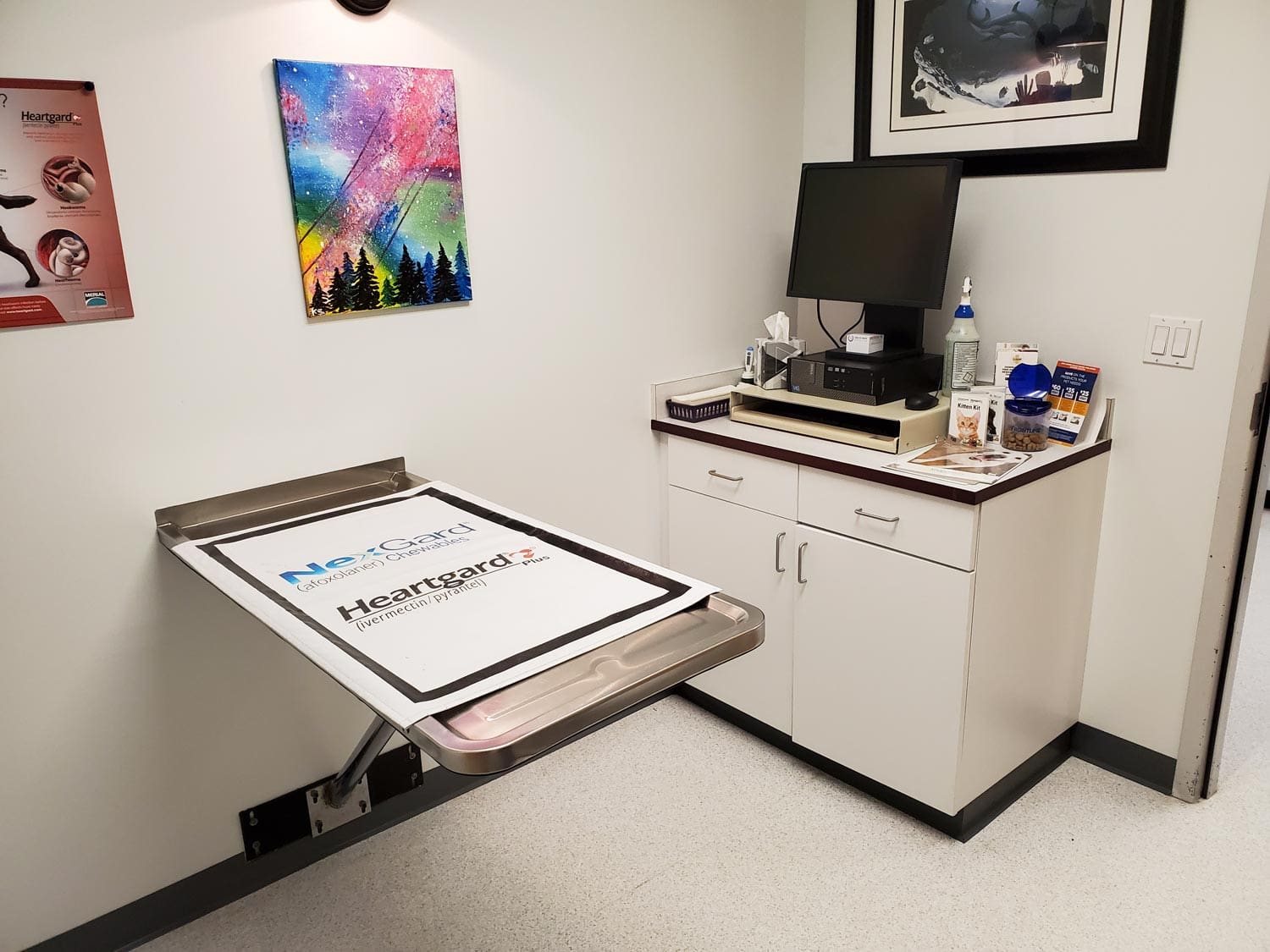 Exam room at Animal Hospital of Maple Valley