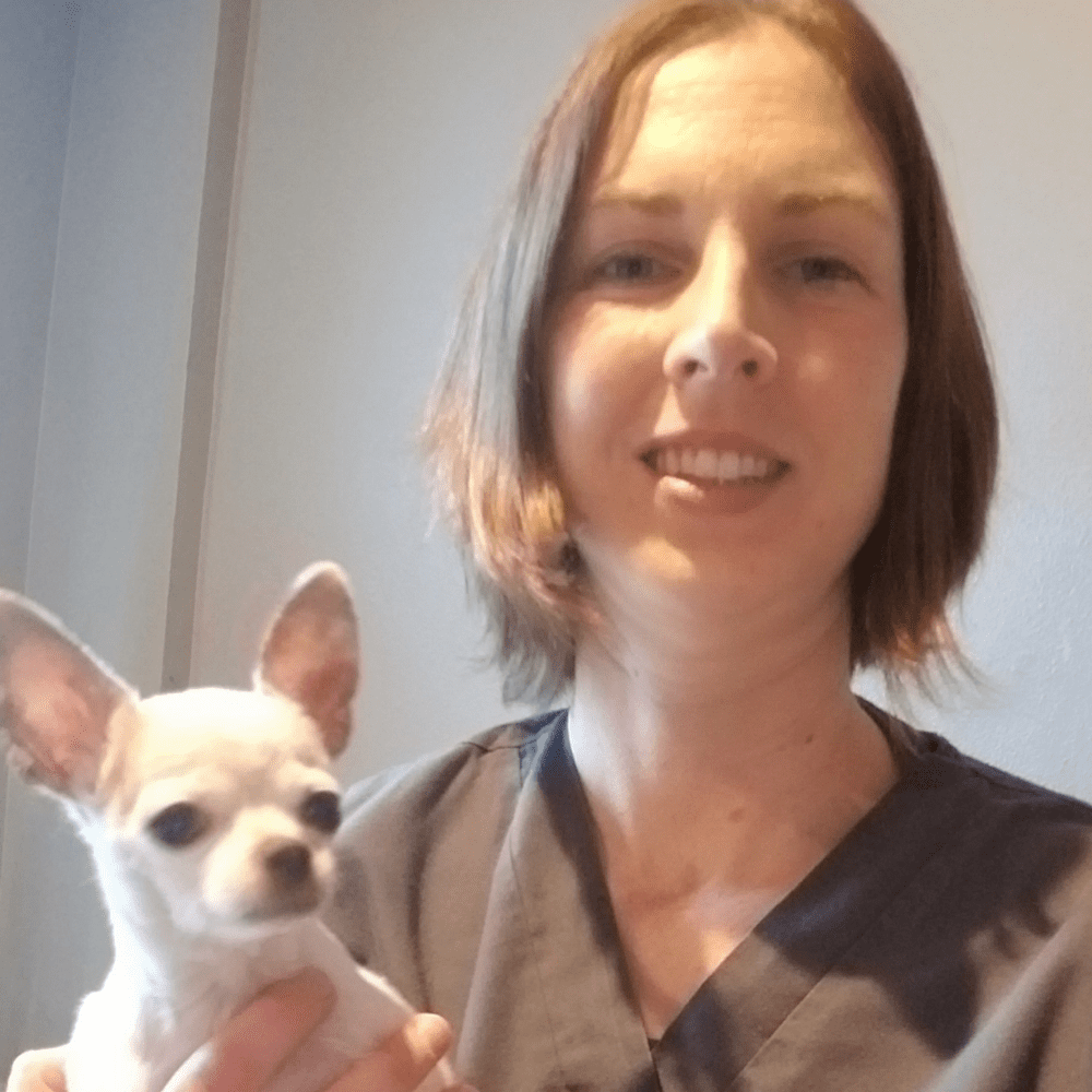 Dr. Ashley Austin, veterinarian, Animal Hospital of Maple Valley, Maple Valley WA