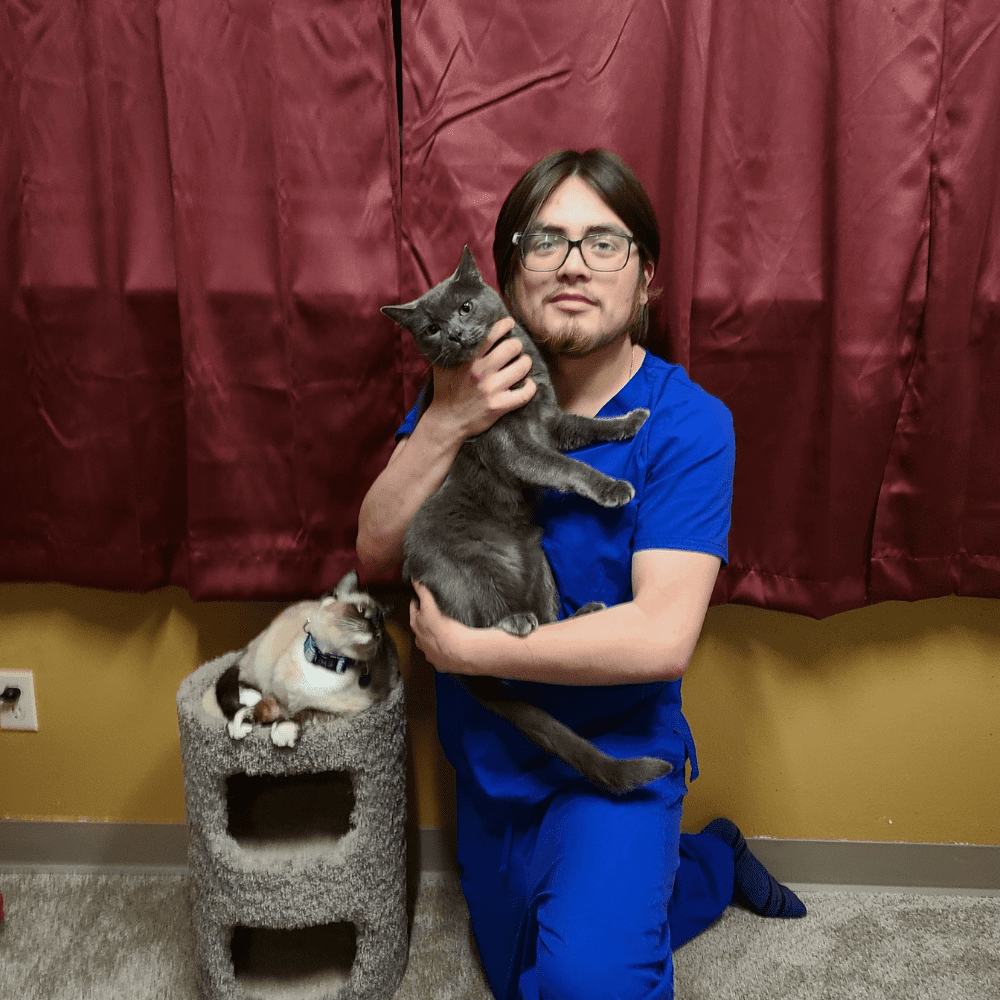 Rachel Dunning, Licensed Veterinary Technician, Animal Hospital of Maple Valley, Maple Valley WA